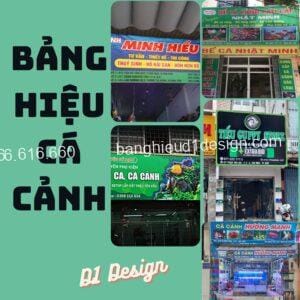 Bảng hiệu cá cảnh đẹp, ấn tượng, giá rẻ - D1 Design